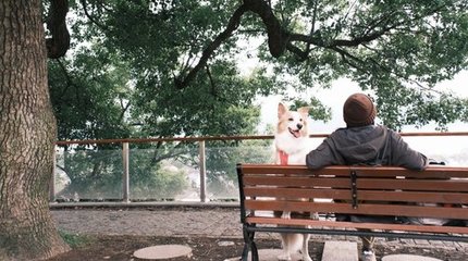 汪汪GO·漫步錢湖 | 尋陶公街市，覽山色湖光